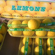 Лимоны. фото