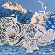 Альбомы для рисования Планета тигров фото