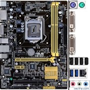 MB Asus H81M2, s1150, H81, 2DDR3, DVI, mATX фото