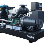 Дизельный генератор GMGen GMV275 фото