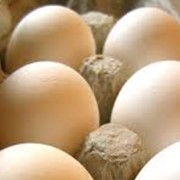 Яйца деревенские 55-64,9 гр.