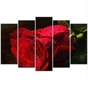Пятипанельная модульная картина 80 х 140 см Мокрый бутон красной розы фото