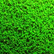 Рулонное синтетическое покрытие искусственная трава, Трава искусственная фото