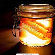 Мед гречишно-липовый фотография