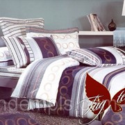 Комплект постельного белья двуспальный ранфорс Полоса фотография
