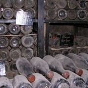 Экскурсии на винзавод “Массандра“ - подвалы, винотека, дегустация вин. фото