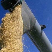 Зерновые перевозки, Перевозка зерновых культур