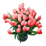 Букет розовые тюльпаны фото