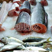 Рыба балычные изделия продам в крыму
