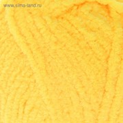 Пряжа “Softy“ 100% микрополиэстер 115м/50гр (187 лимонный) фото