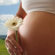 Организация ведения беременности и родовспоможение
