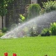 Системы капельного орошения. фото