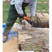 Дорожки деревянные садовые фото