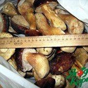 Белый гриб замороженный (1сорт) фото