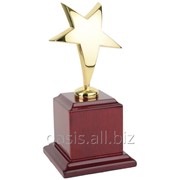 Награда Звезда