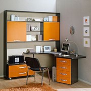 Мебель в кабинет на заказ фото