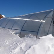 Теплицы 4м8м (0,67) из трубы 20х40. АРТ, . фото