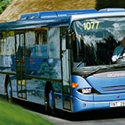 Автобус OmniLine IK94IB 4x2 Евро 4 фото