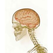 Лечение эпилепсии Неврология и невропатология фото