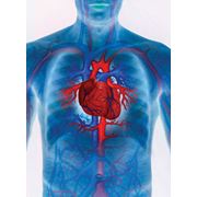 Комплексное лечение сердечно-сосудистых заболеваний. Операции на сердце в Германии.