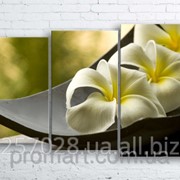 Модульна картина на полотні Біла квітка в чаші код КМ100160-101 фото