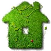 Озеленение домовозеленение