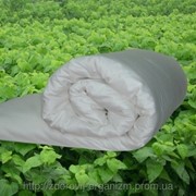 Турмалиновое Шелковое энергетическое одеяло Вековой Восток фотография