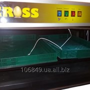 Инкубатор Kross 660, (на 660 куриных яиц) фото