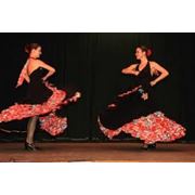 Уроки испанского танца фотография