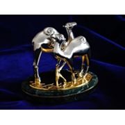 VIP сувениры фото