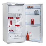 Холодильник Pozis-Свияга-404-1 фото