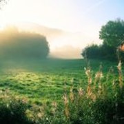 Тур Андорра и Краски Прованса