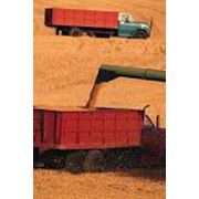 Переработка зерна фото