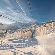 Новогодний экскурсионный тур в Сочи 4дня/3ночи фото