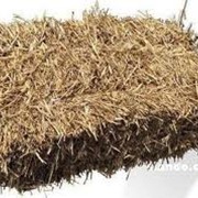 Предприятие реализует тюки сена и соломы из пшеницы фото