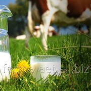 Домашнє коров'яче молоко фото
