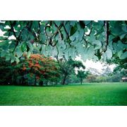 Туры в ОАЭ фото