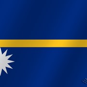Флаг национальный Науру фотография