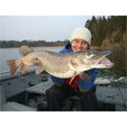 Подледная рыбалка фото