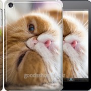 Чехол на iPad mini 2 Retina Смешной персидский кот 3069c-28 фотография
