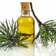 Essential Oil of fir