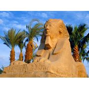 Услуги турагента по организации выездного туризма Лето продожается в Египте !!!! фото