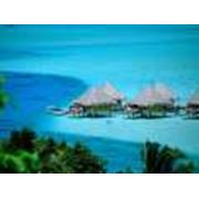 Услуги туристические фото