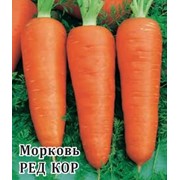 Семена моркови Шантанэ Ред Коред / Chantenay Red Cored фото