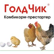 Полнорационный комбикорм для цыплят Престартер ГолдЧик