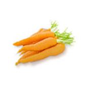 Морковь сорт Шантанэ Рояль Королевская Морковь фото