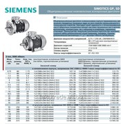 Общепромышленные низковольтные асинхронные двигатели SIMOTICS GP, SD фото