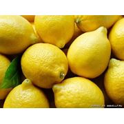 Лимоны оптом Лимоны в Казахстане фото