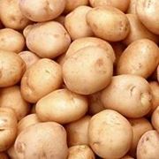 Картофель в Астане фото