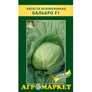 Семена овощей сорт Капуста белокочанная Бальбро F1. Опт фотография